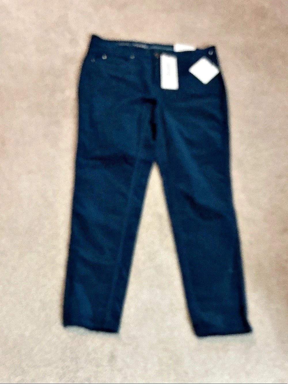 Rafaella Weekend pants with benefits Straight Leg Pants in Blue NWT